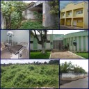 Abandono