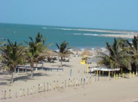 coqueiro