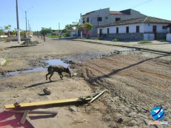 Avenida Petrônio Portela, total descaso da prefeitura municipal