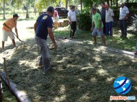 Criadores preparando a silagem