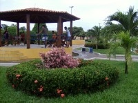 Jardim da cidade de Campo Largo