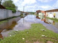 Lixo e mato deixado pelas aguas