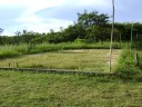 Campo de voley abandonado