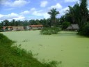 Lagoa verde