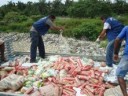 Vigilância Sanitária jogando alimentos no lixo