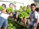 Alunos em horta escolar