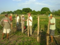 Cerca campo de pouso