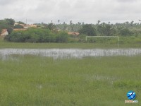 estadio