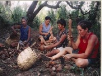 Quebradeiras de Coco