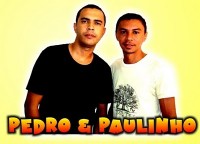 banner pedro e paulinho