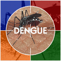 mosquito transmissor da dengue