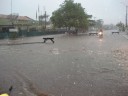 Chuva na Avenida