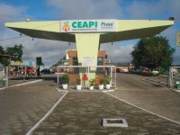 Ceapi