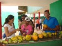 Distribuição das frutas