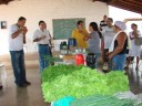 Prefeito Lucidio