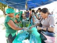 Produtores