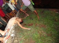 corpo-da-vitima-ficou-estendido-na-rua-177223