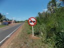 Placas