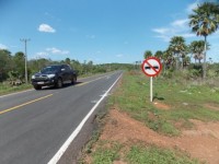 Placas