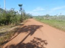 Estrada
