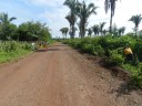 Roço de Esperantina (23)