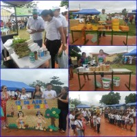 Feira Agroecologica