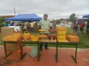 Feira Agroecologica (36)