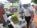 Feira Agroecologica (51)