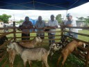 Feira Agroecologica (62)