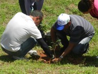 Arborização Meio Ambiente 
