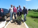 Arborização Meio Ambiente (50)