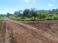 estrada