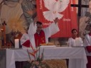 jornalesp 312