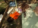 crime-morros-007
