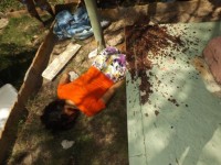 crime-morros-007