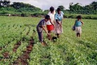 agricultura familiar