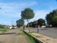 Podagem das arvores na Avenida Petornio Portela em Esperantina (5)