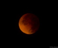 lua sangrenta