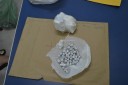 dsc0027-2-6