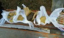 IMG-20140728-WA0011