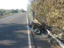 moto31