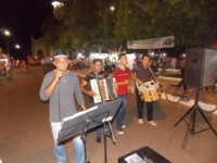 DSCN8206