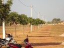 DSCF0429
