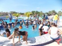 DSCN0060 - Cópia
