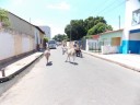 DSCN0366