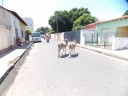 DSCN0367