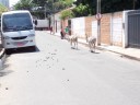 DSCN0369