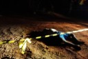homicidio lagoa da prata parnaiba1