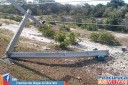 cat3-2