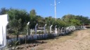 20150712_084022